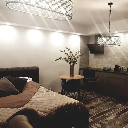 Galleryapartment * Krakau